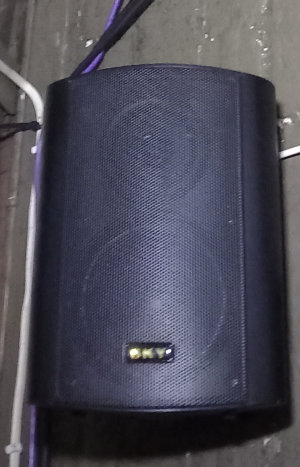 relay speaker